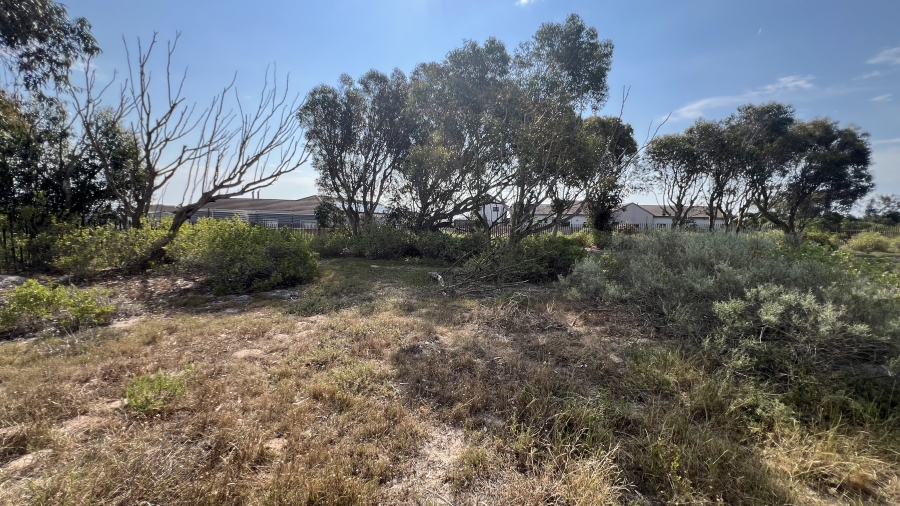 0 Bedroom Property for Sale in Langebaan Country Estate Western Cape